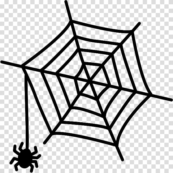 Spider web, spider transparent background PNG clipart