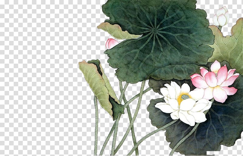 Vietnam Painting Nelumbo nucifera, Lotus Lotus lotus leaf transparent background PNG clipart