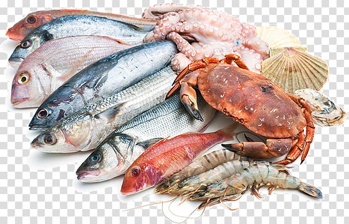 Fish Restaurante Brisas, Puerto Pollensa Trattoria la Darsena Mediterranean cuisine, mixed seafood risotto transparent background PNG clipart