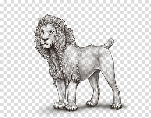 Dog breed Lion Cat Drawing, lion transparent background PNG clipart