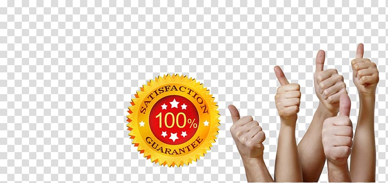 Racknet Web Hosting Services Web content Organization 4shared, Satisfaction Guaranteed transparent background PNG clipart