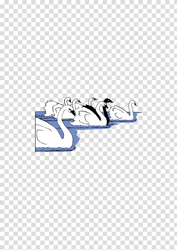 Cygnini Cartoon Drawing, Swan on the lake transparent background PNG clipart