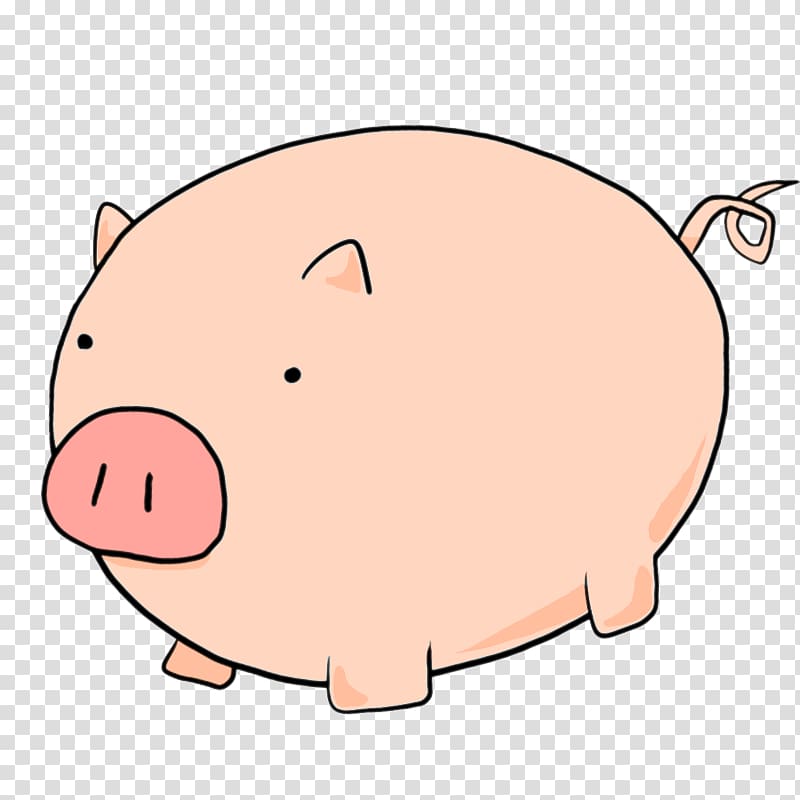 Domestic pig Snout , pig transparent background PNG clipart