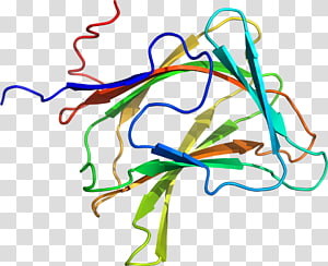 Line art Point Organ , line transparent background PNG clipart thumbnail