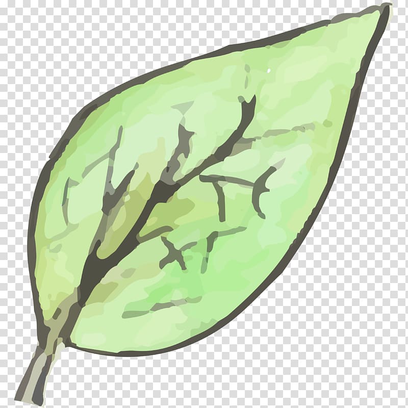 Leaf, leaf transparent background PNG clipart