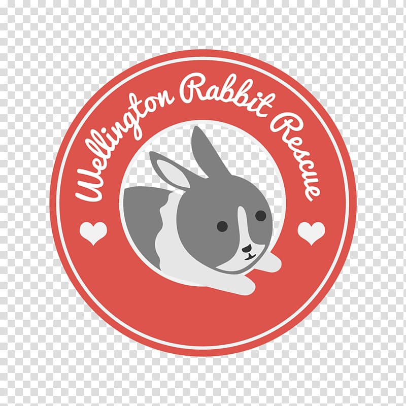 Lionhead rabbit Pet All about rabbits Animal, welfare transparent background PNG clipart