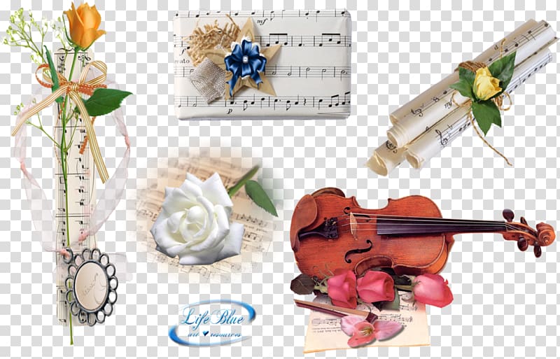 Violin family Plastic, Background music transparent background PNG clipart