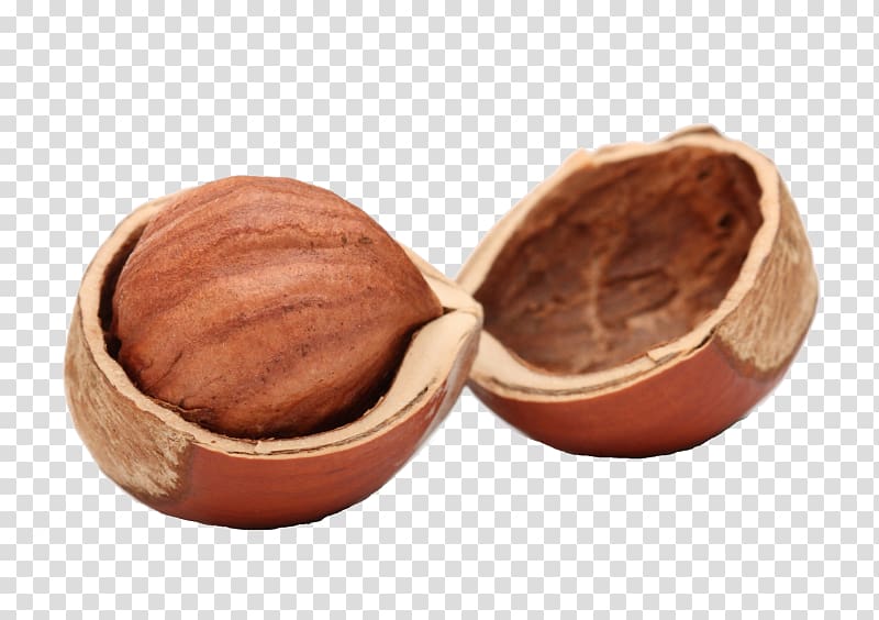 Hazelnut Walnut Nutshell , walnut transparent background PNG clipart