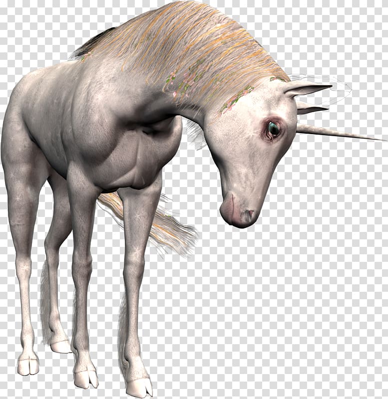 Unicorn horn Horse, unicorn transparent background PNG clipart