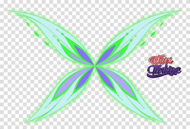 Bloom Stella Flora Winx Club: Believix in You Mythix, others transparent background PNG clipart