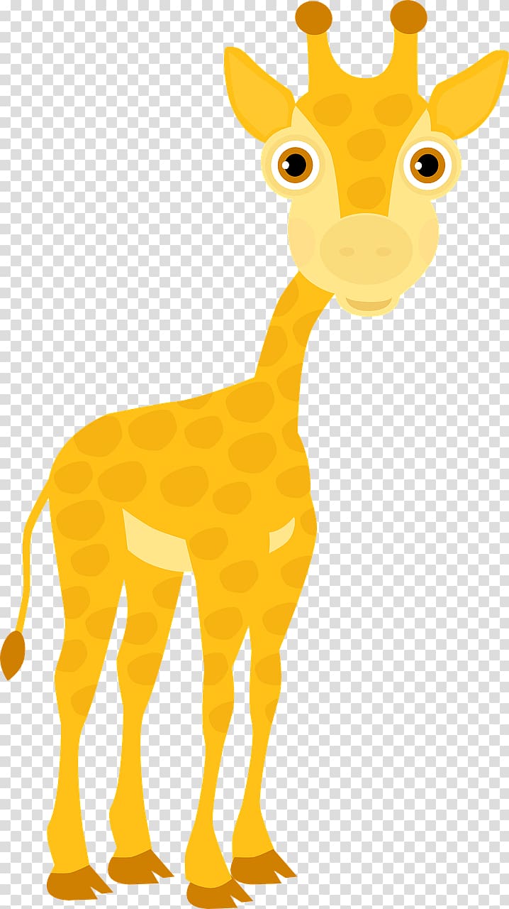 Northern giraffe Adjective Pixabay, Cute giraffe transparent background PNG clipart