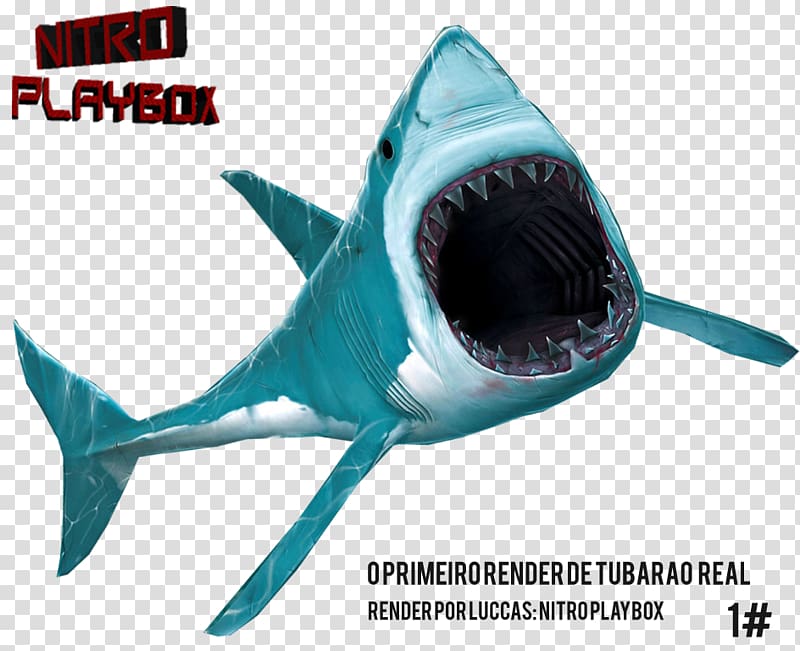Requiem sharks Tubarão Great white shark Brazilian real, shark transparent background PNG clipart