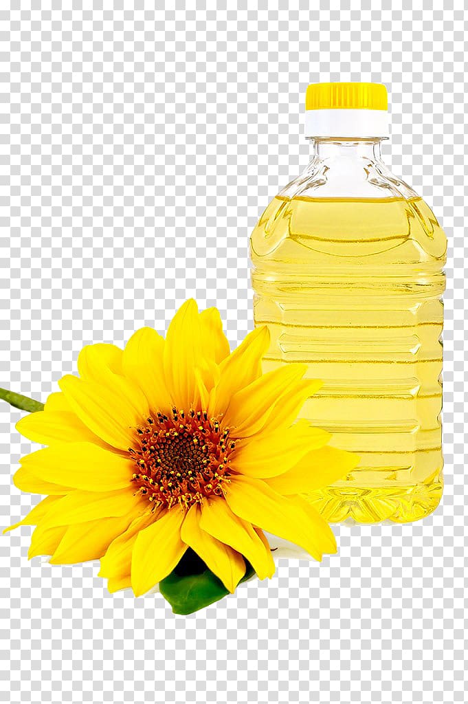 Common sunflower Sunflower oil Vegetable oil Cooking oil, Sunflower oil transparent background PNG clipart