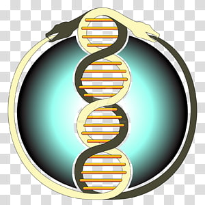 Brand Logo Font, design transparent background PNG clipart thumbnail