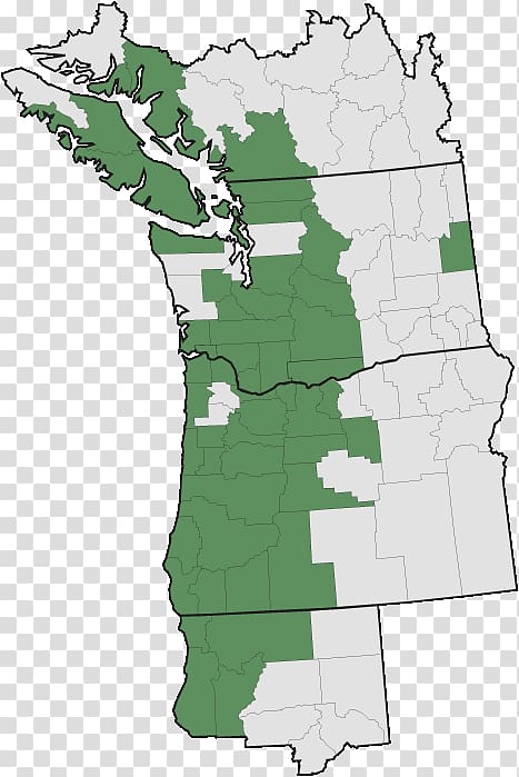 Pacific Northwest Evergreen huckleberry Vaccinium parvifolium Map, map transparent background PNG clipart
