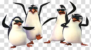 Madagascar penguins transparent background PNG clipart