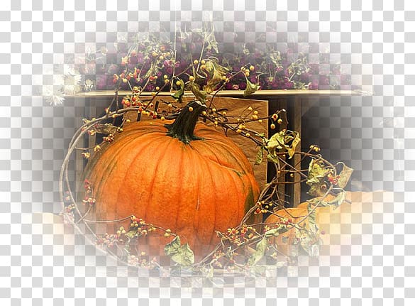 Pumpkin Autumn Polyvore Work of art, pumpkin transparent background PNG clipart