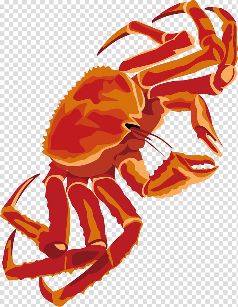 Dungeness crab , Crab decorative design transparent background PNG clipart