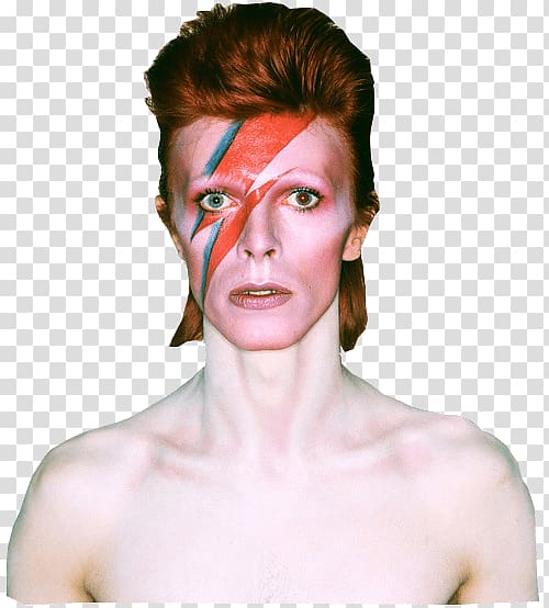 David Bowie David Bowie Ziggy Stardust Face Transparent Background Png Clipart Hiclipart