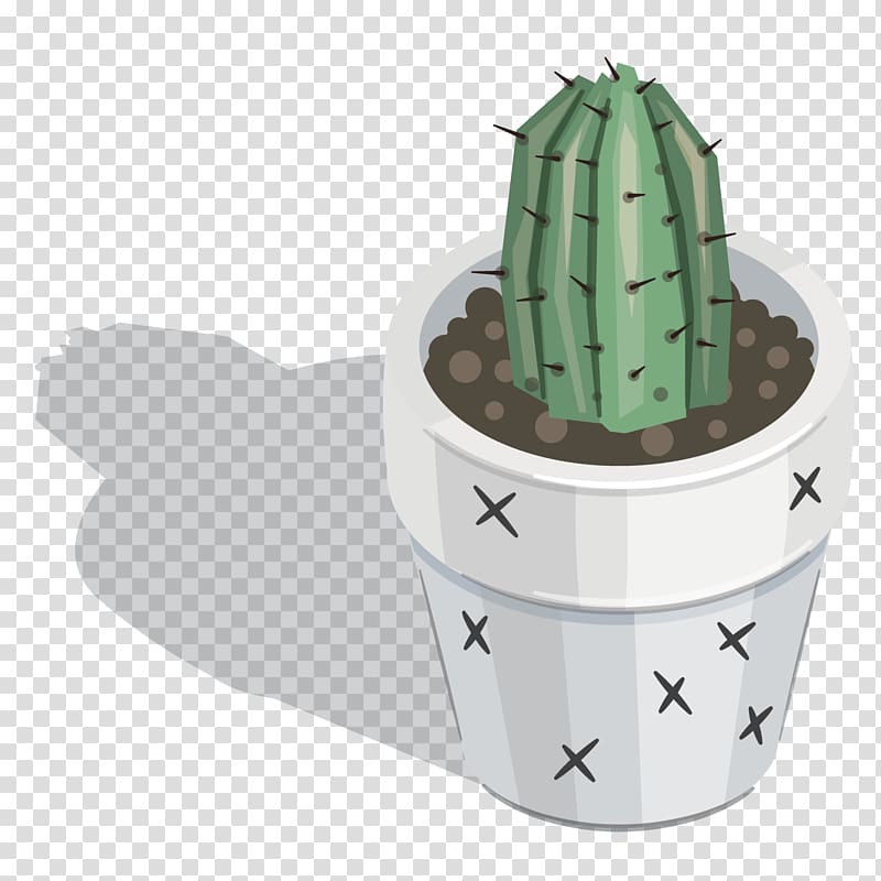 Cactaceae Plant , round cactus transparent background PNG clipart