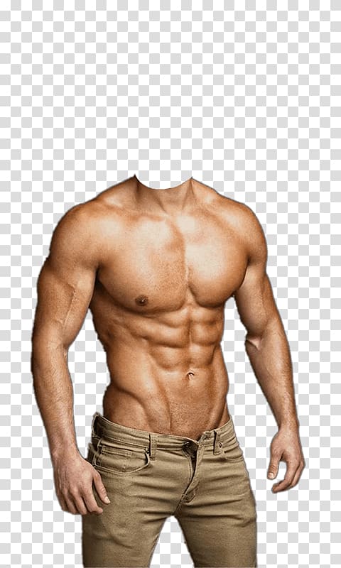 PicsArt Studio Android Rectus abdominis muscle, android transparent background PNG clipart