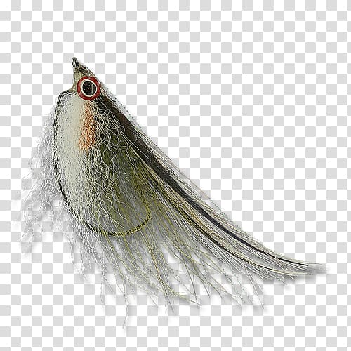 Beak Close-up Feather, Bluegill Flies transparent background PNG clipart