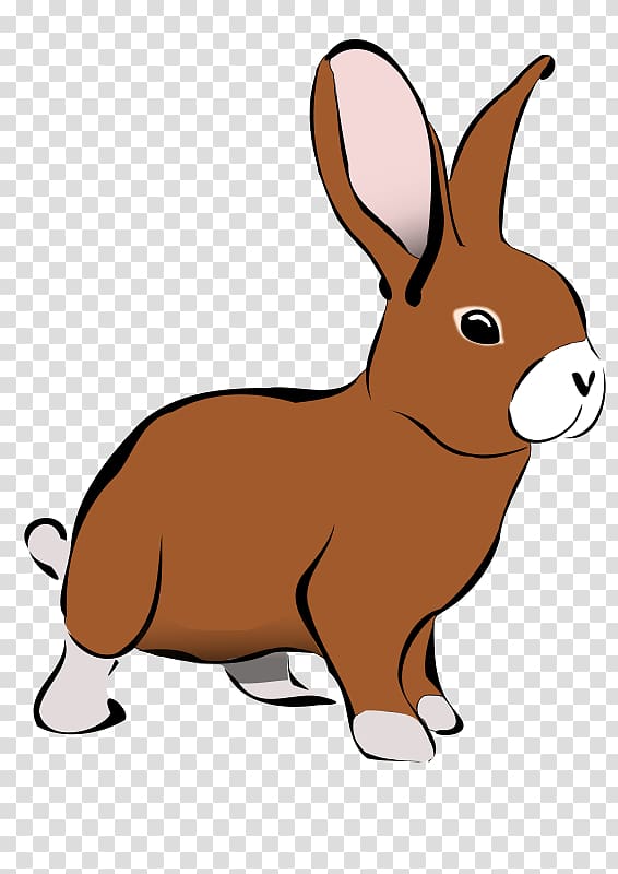 Domestic rabbit Snowshoe hare , rabbit transparent background PNG clipart