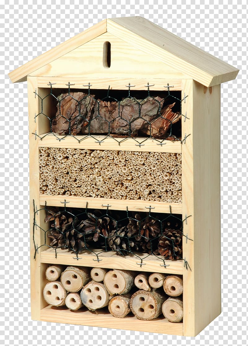 Canton of Glarus Insect hotel Bee Chrysoperla carnea, insect transparent background PNG clipart