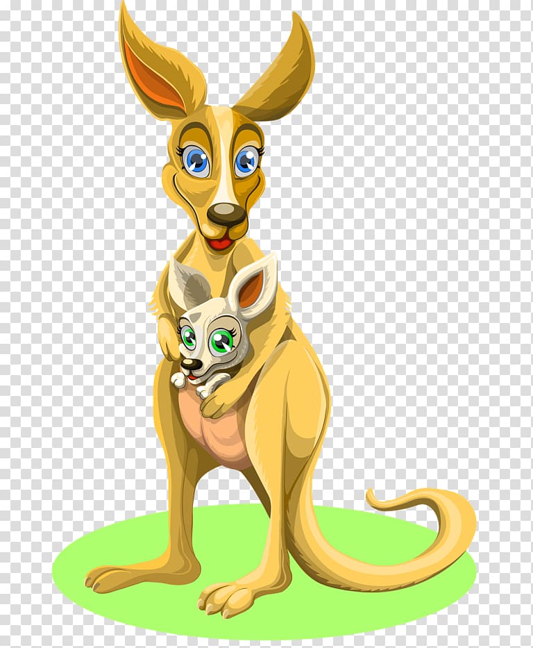 Kangaroo , kangaroo transparent background PNG clipart