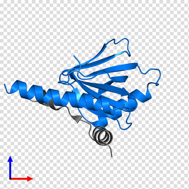 Protein Data Bank Structural Classification of Proteins database CATH database Pfam, Amyloid Precursor Protein transparent background PNG clipart