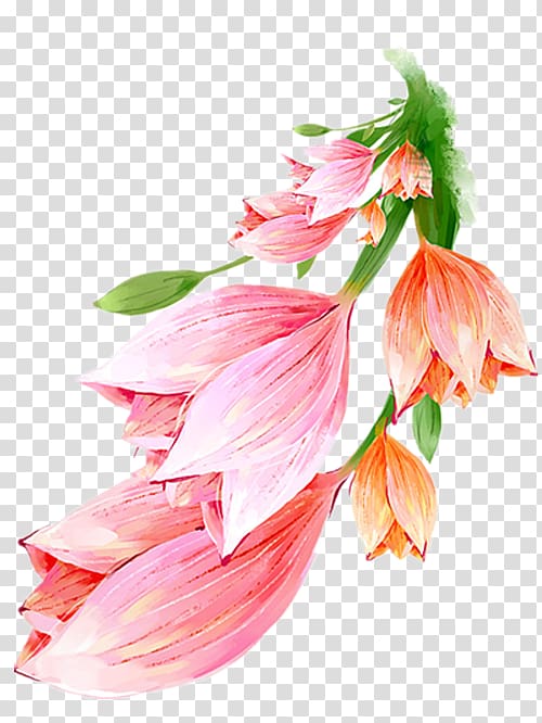 Flower Watercolor painting , Hand-painted lily flower transparent background PNG clipart