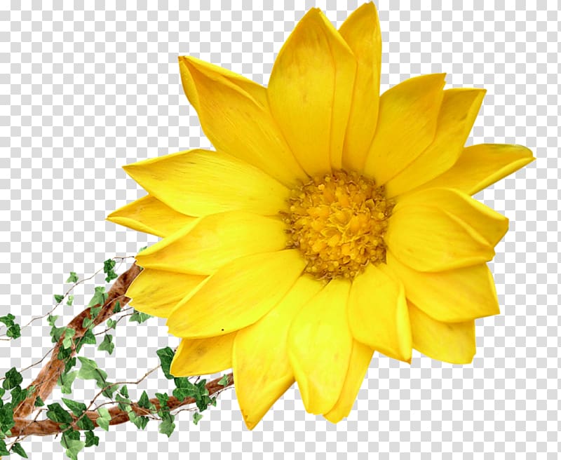 Flower bouquet Yellow Floristry , sunflower transparent background PNG clipart