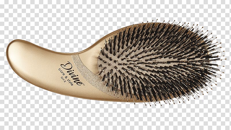 Hairbrush Bristle Wild boar, hair transparent background PNG clipart