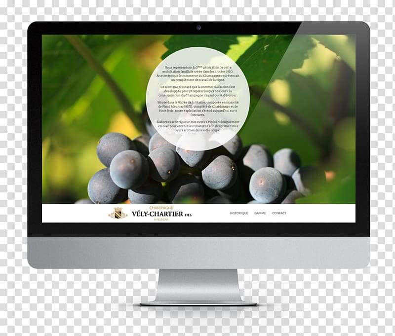 Web development Web design, Website Mock Up transparent background PNG clipart