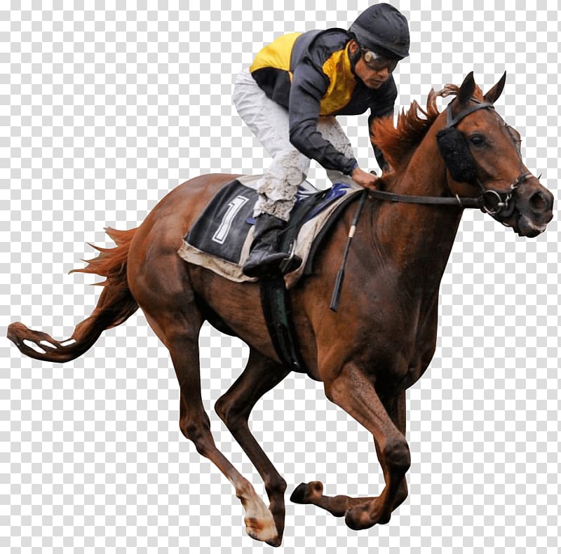 man riding hose, Race Horse transparent background PNG clipart