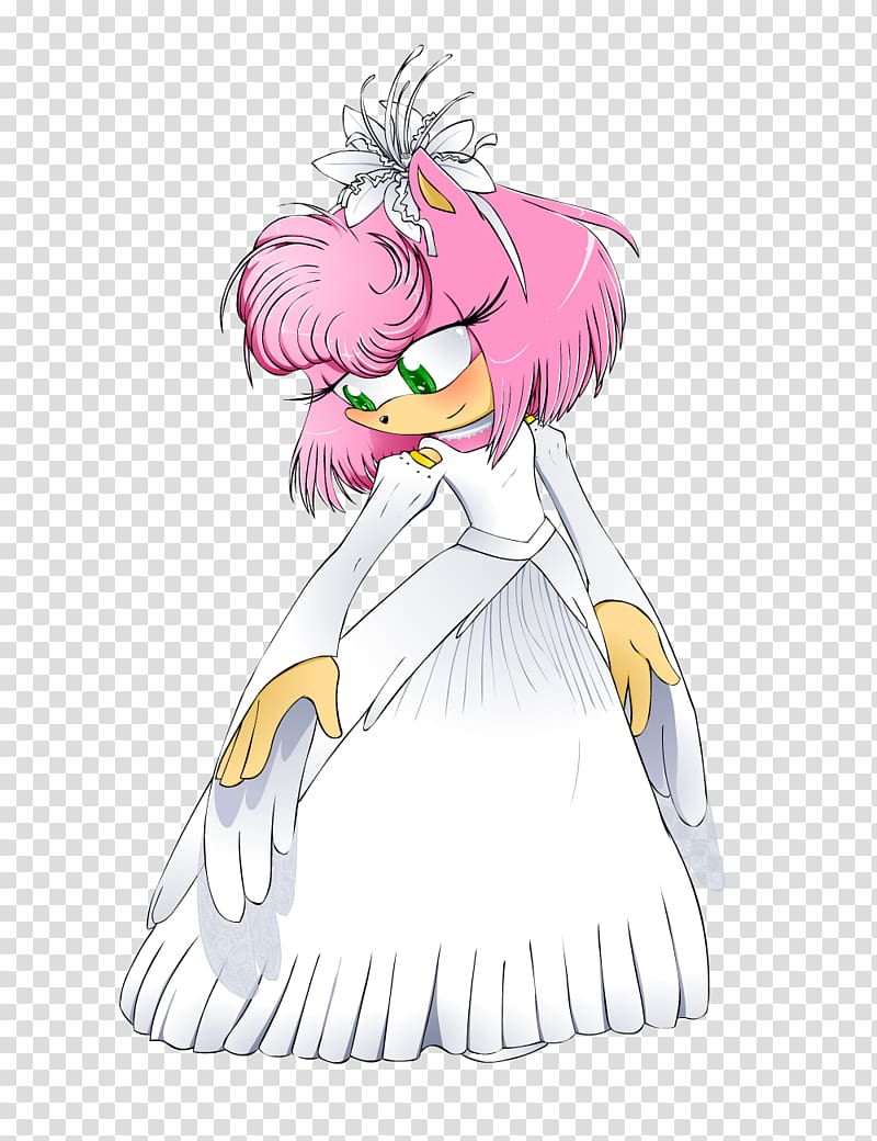 Sonic The Hedgehog 3 Amy Rose Shadow The Hedgehog Tails PNG - Free