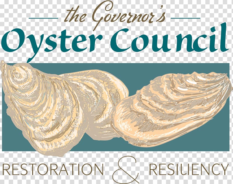 Oyster reef restoration Oyster farming Seafood, Oyster Crab transparent background PNG clipart