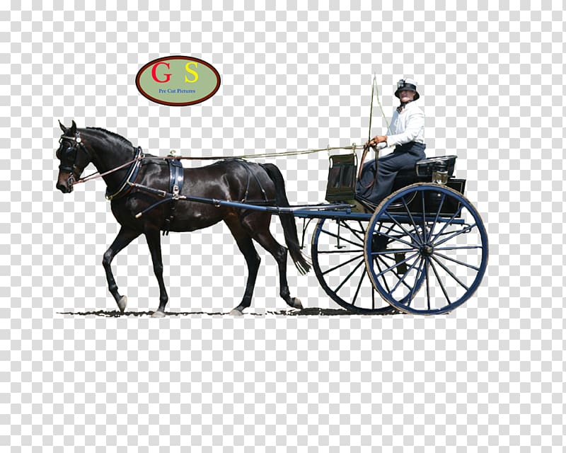 Horse Harnesses Horse and buggy Stallion Chariot, horse transparent background PNG clipart