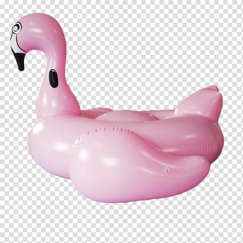 Inflatable Swim ring Greater flamingo Water bird Air Mattresses, flamingos transparent background PNG clipart