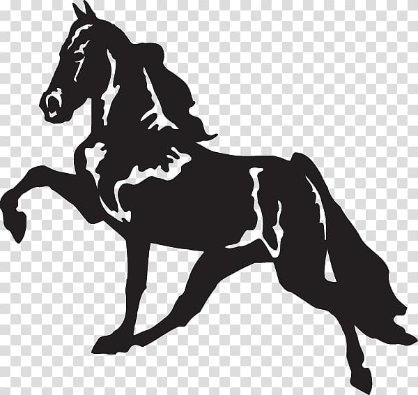 Tennessee Walking Horse Decal Racking horse Bumper sticker, car transparent background PNG clipart