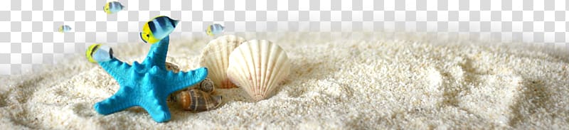 blue starfish and beige seashell art, Starfish Euclidean , Tropical Starfish Decorative Elements transparent background PNG clipart