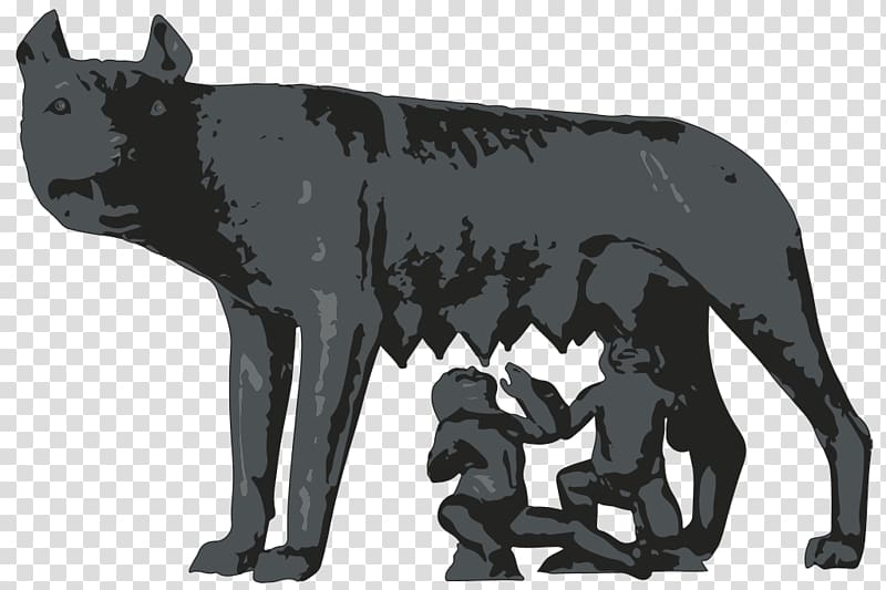 Capitoline Museums Capitoline Wolf Ancient Rome Gray wolf Romulus and Remus, others transparent background PNG clipart