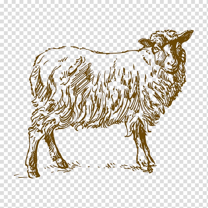 sketch,animal transparent background PNG clipart