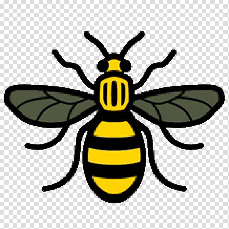 yellow and black wasp illustration, 2017 Manchester Arena bombing Worker bee Symbols of Manchester, bees transparent background PNG clipart
