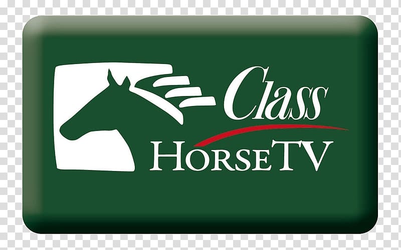 ClassHorseTV Icelandic horse Television channel Sky Sport, horse hd transparent background PNG clipart