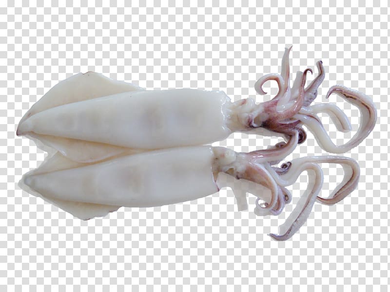 Squid as food Octopus Meat Sweet and sour, meat transparent background PNG clipart