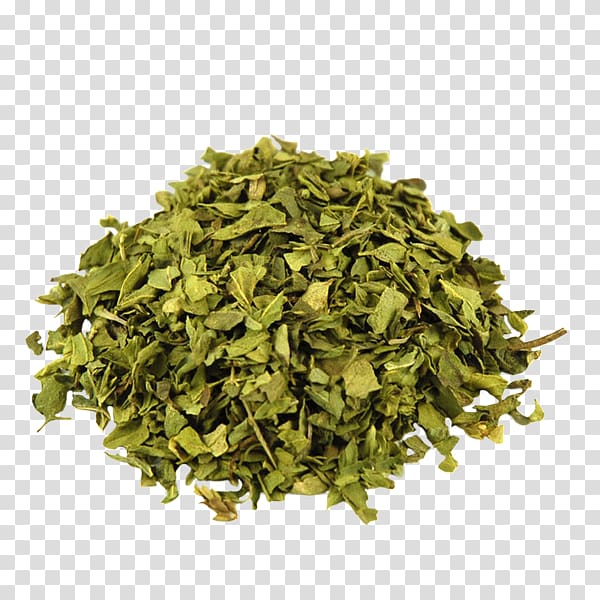 oregano png