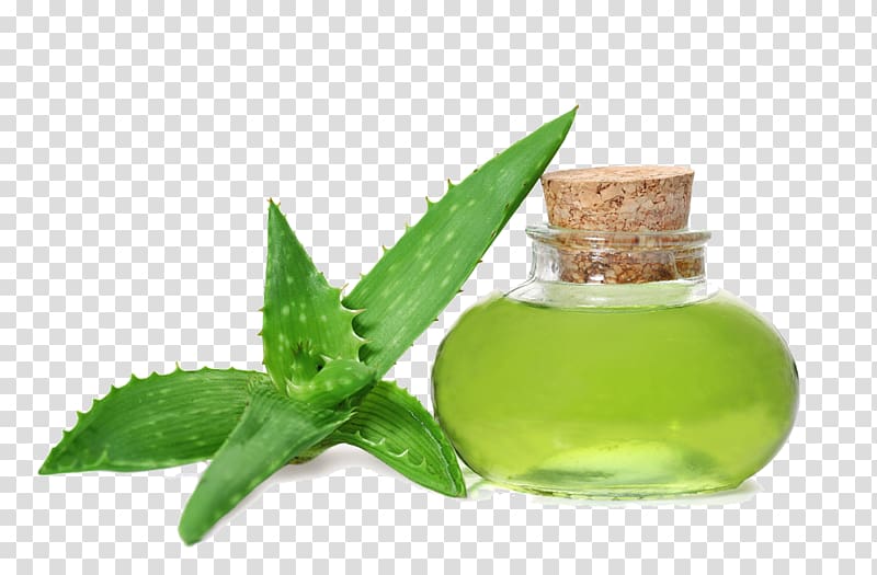 Aloe vera Gel Oil Skin care Health, Aloe water transparent background PNG clipart