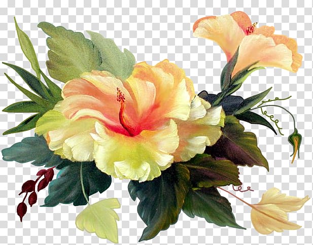 Hibiscus Flower Blume Bokmxe4rke , bouquet transparent background PNG clipart