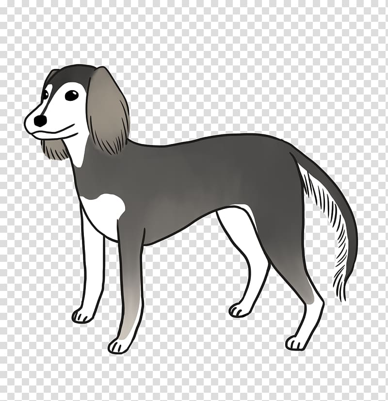 Dog breed Saluki Italian Greyhound Companion dog, COO transparent background PNG clipart